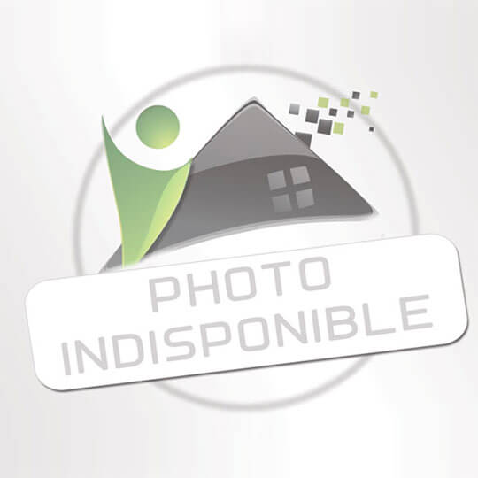  La Nerthe immobilier : Commerces | SAINT-VICTORET (13730) | 600 m2 | 1 € 